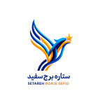 logo fit size